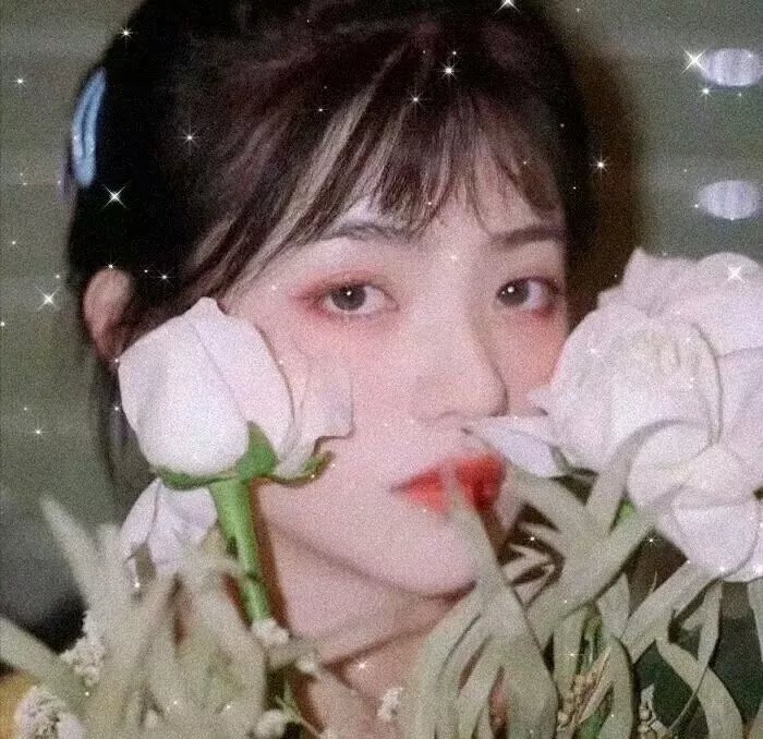 贼公贼婆做世界